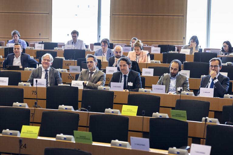 Foto 5: JURI - Policy Department Workshop on the 28th Regime: a new legal framework for innovative companies