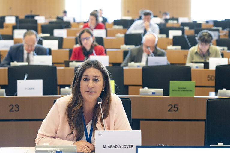 JURI - Presentation of EFRAG's Work Plan 2025