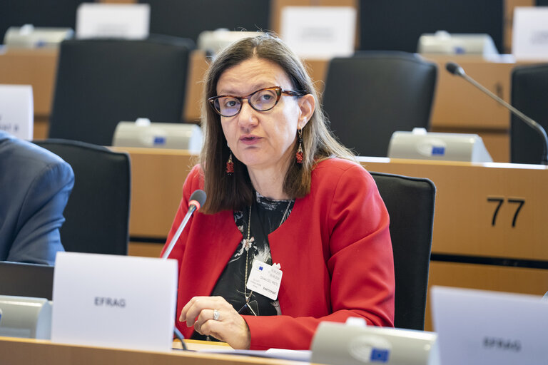 Photo 13: JURI - Presentation of EFRAG's Work Plan 2025