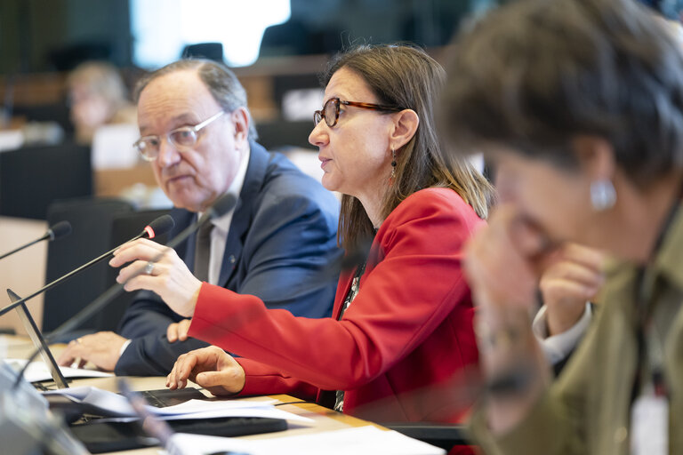 Photo 11: JURI - Presentation of EFRAG's Work Plan 2025