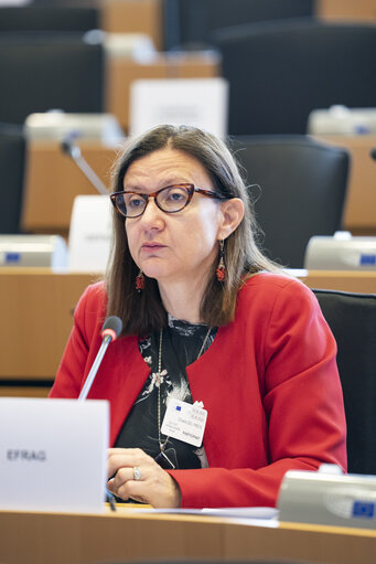 Photo 12: JURI - Presentation of EFRAG's Work Plan 2025