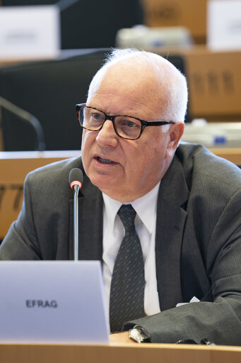 Photo 15: JURI - Presentation of EFRAG's Work Plan 2025