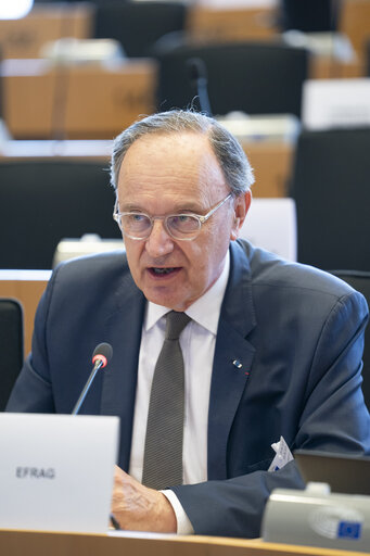 Photo 16: JURI - Presentation of EFRAG's Work Plan 2025