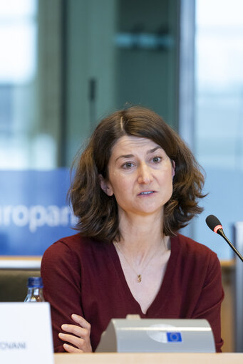 JURI - Presentation of EFRAG's Work Plan 2025