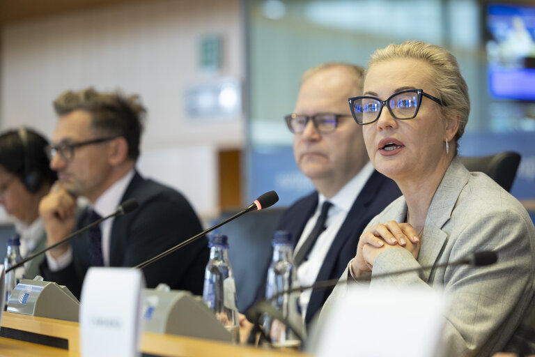 Photo 50: AFET - Exchange of views with representatives of the Russian democratic opposition on the EU support to Russian pro-democratic forces in the new geopolitical context