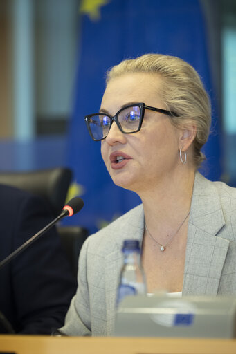 Photo 49: AFET - Exchange of views with representatives of the Russian democratic opposition on the EU support to Russian pro-democratic forces in the new geopolitical context