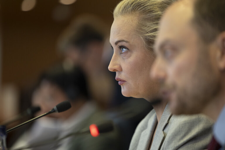 Photo 33: AFET - Exchange of views with representatives of the Russian democratic opposition on the EU support to Russian pro-democratic forces in the new geopolitical context