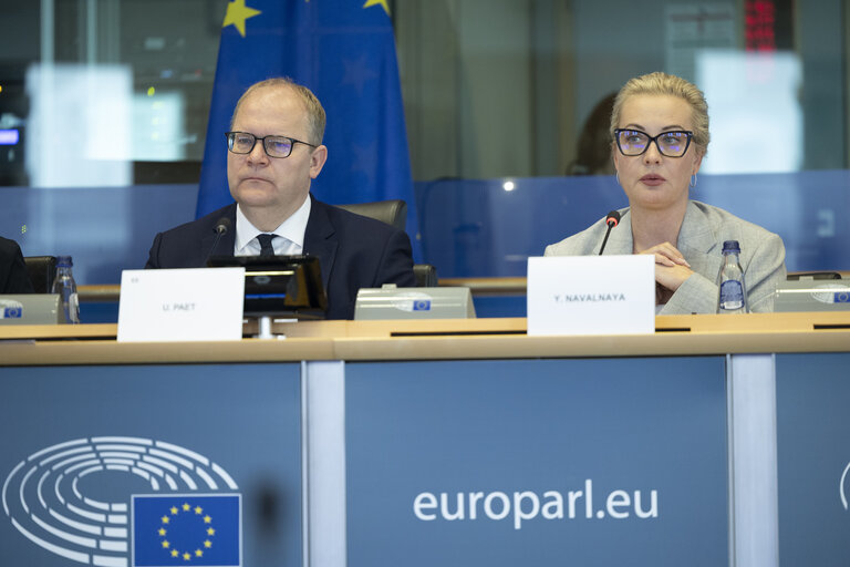 Photo 42: AFET - Exchange of views with representatives of the Russian democratic opposition on the EU support to Russian pro-democratic forces in the new geopolitical context
