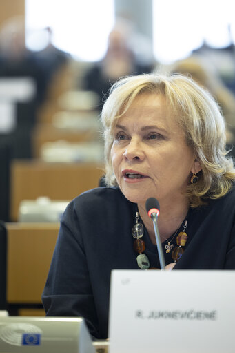 Photo 18: AFET - Exchange of views with representatives of the Russian democratic opposition on the EU support to Russian pro-democratic forces in the new geopolitical context