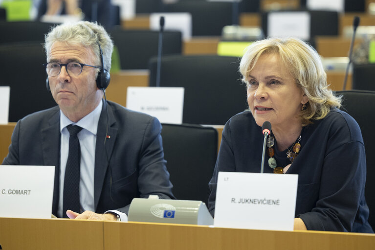 Photo 17: AFET - Exchange of views with representatives of the Russian democratic opposition on the EU support to Russian pro-democratic forces in the new geopolitical context
