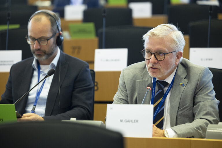 Photo 20: AFET - Exchange of views with representatives of the Russian democratic opposition on the EU support to Russian pro-democratic forces in the new geopolitical context