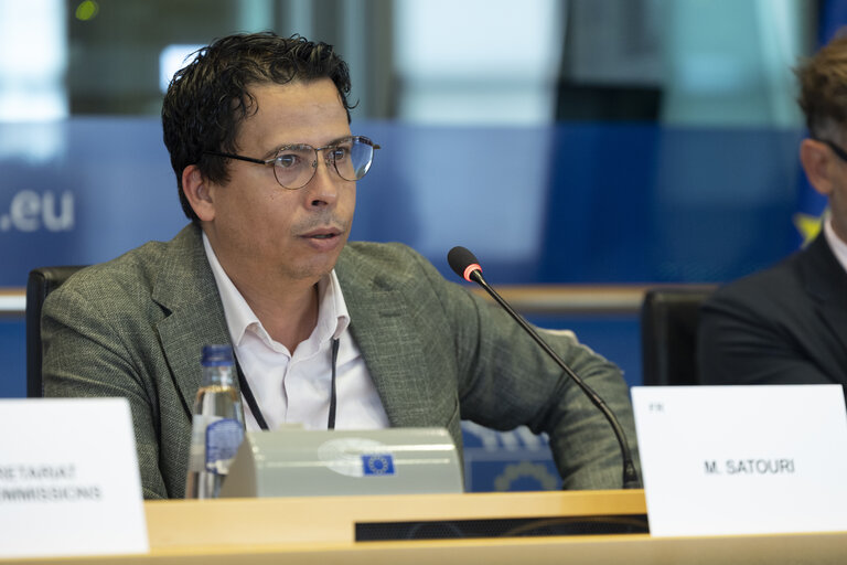 AFET - Exchange of views with representatives of the Russian democratic opposition on the EU support to Russian pro-democratic forces in the new geopolitical context
