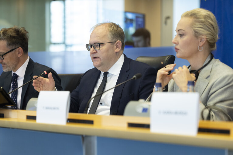 AFET - Exchange of views with representatives of the Russian democratic opposition on the EU support to Russian pro-democratic forces in the new geopolitical context