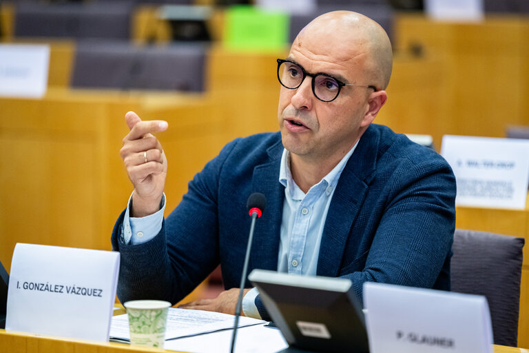 Suriet 39: EMPL - Hearing on ' Artificial intelligence at the workplace '