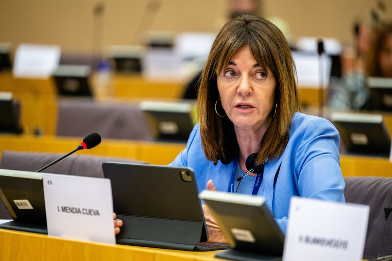 Suriet 20: EMPL - Hearing on ' Artificial intelligence at the workplace '