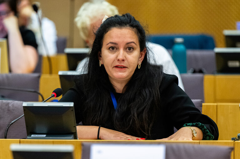 Suriet 11: EMPL - Hearing on ' Artificial intelligence at the workplace '