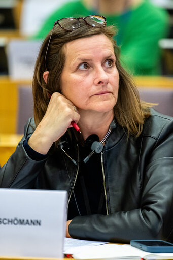 Suriet 29: EMPL - Hearing on ' Artificial intelligence at the workplace '