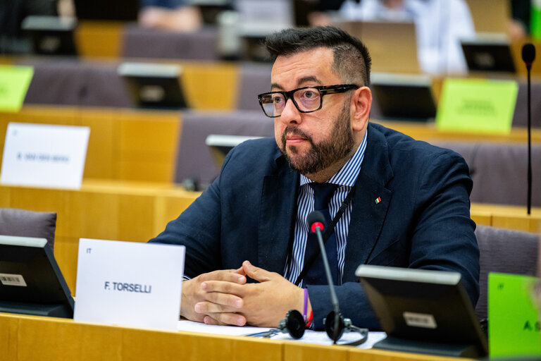 Suriet 17: EMPL - Hearing on ' Artificial intelligence at the workplace '