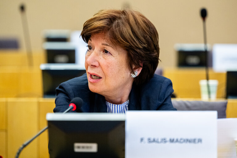 Suriet 2: EMPL - Hearing on ' Artificial intelligence at the workplace '