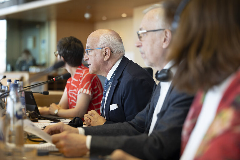 LIBE - Public hearing - Strengthening media freedom, freedom of expression and safety of journalists