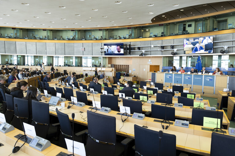 LIBE - Public hearing - Strengthening media freedom, freedom of expression and safety of journalists