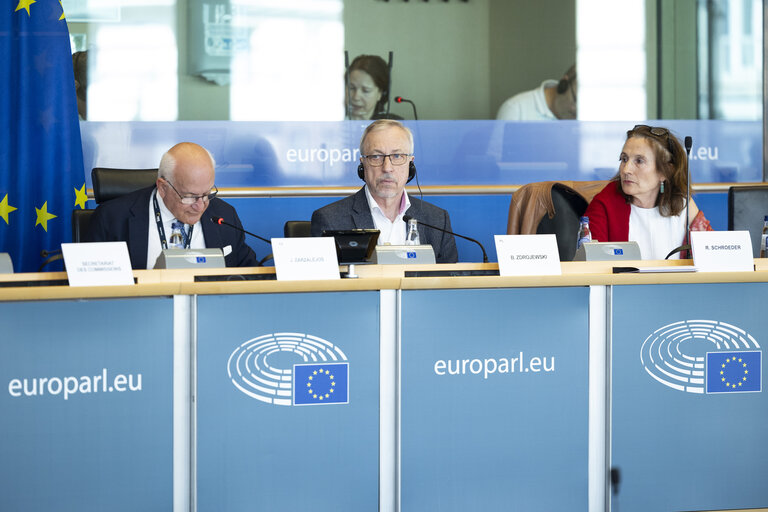 LIBE - Public hearing - Strengthening media freedom, freedom of expression and safety of journalists