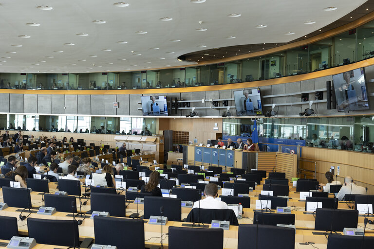 LIBE - Public hearing - Strengthening media freedom, freedom of expression and safety of journalists