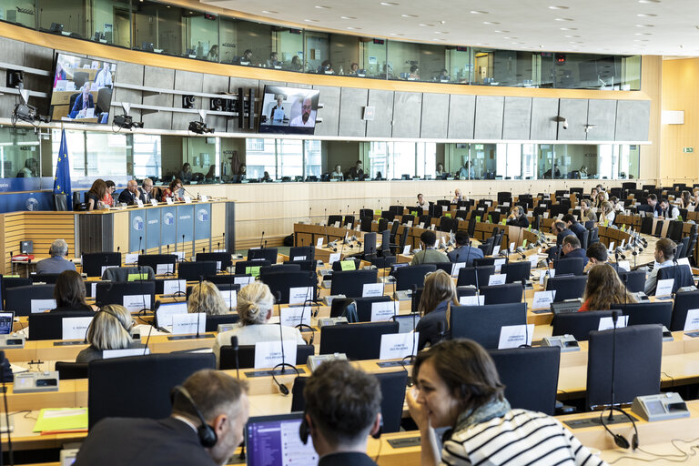 LIBE - Public hearing - Strengthening media freedom, freedom of expression and safety of journalists