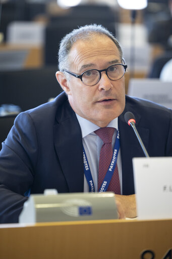 LIBE - Public hearing - Strengthening media freedom, freedom of expression and safety of journalists