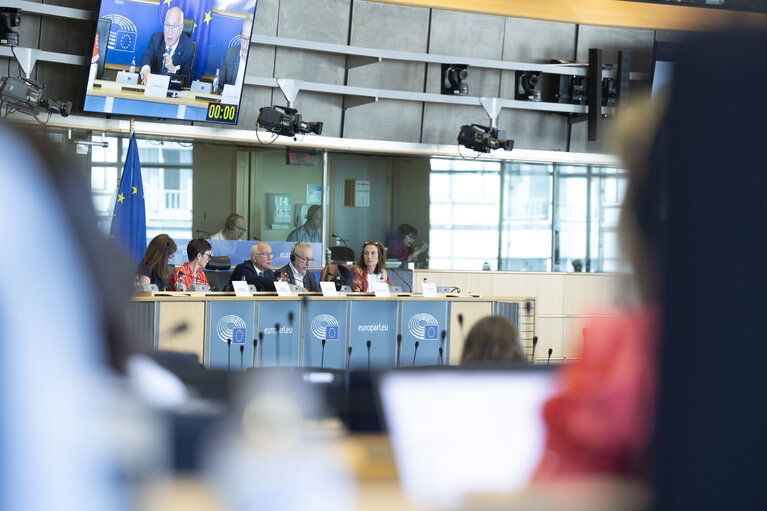 LIBE - Public hearing - Strengthening media freedom, freedom of expression and safety of journalists