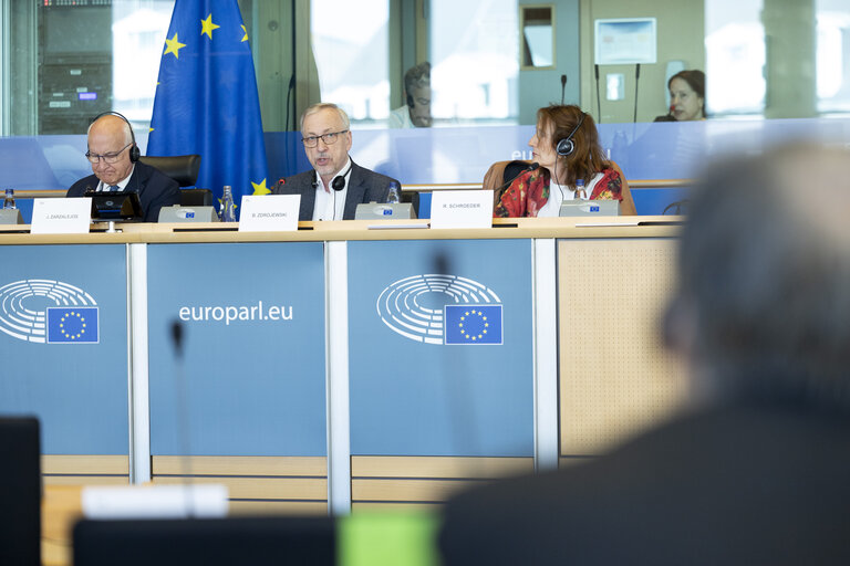 LIBE - Public hearing - Strengthening media freedom, freedom of expression and safety of journalists