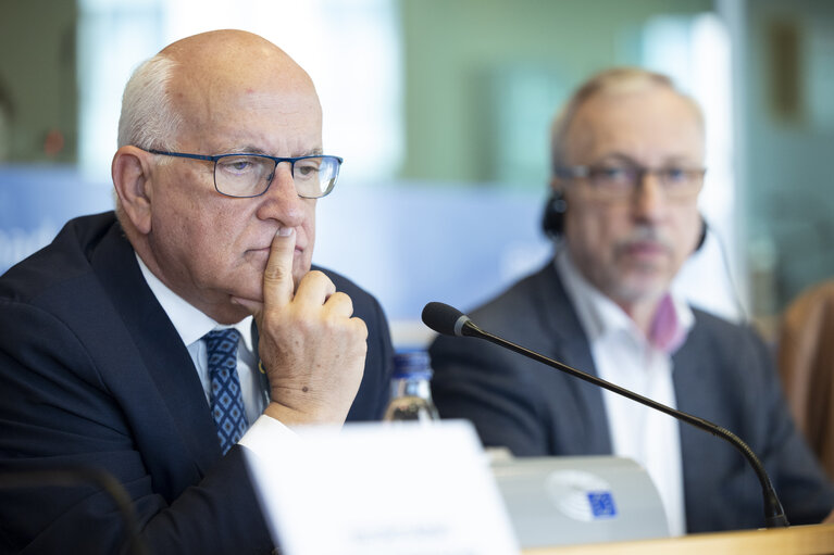 LIBE - Public hearing - Strengthening media freedom, freedom of expression and safety of journalists
