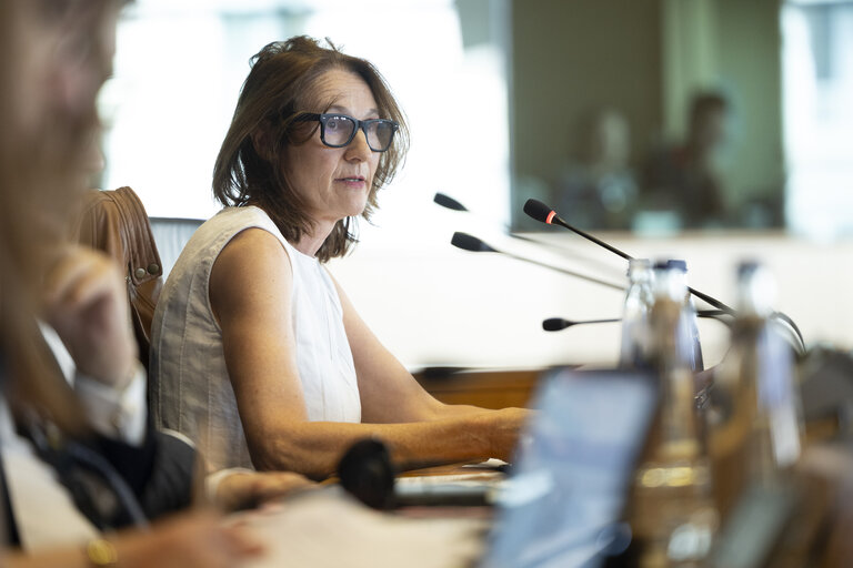 LIBE - Public hearing - Strengthening media freedom, freedom of expression and safety of journalists