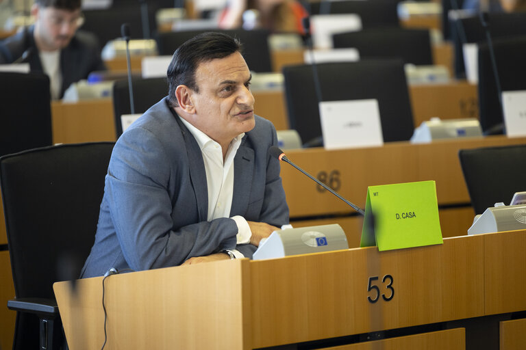 LIBE - Public hearing - Strengthening media freedom, freedom of expression and safety of journalists