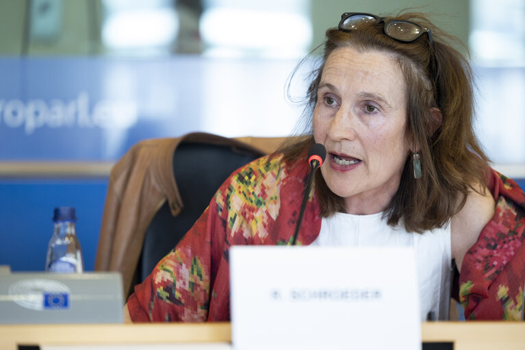 LIBE - Public hearing - Strengthening media freedom, freedom of expression and safety of journalists