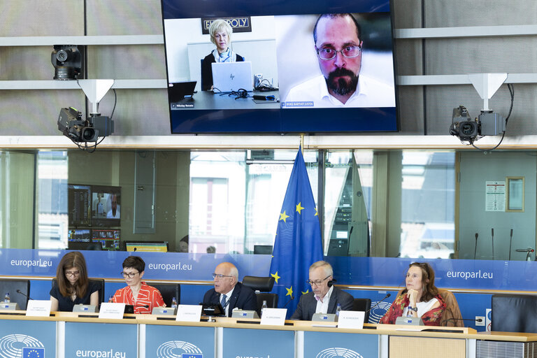 LIBE - Public hearing - Strengthening media freedom, freedom of expression and safety of journalists