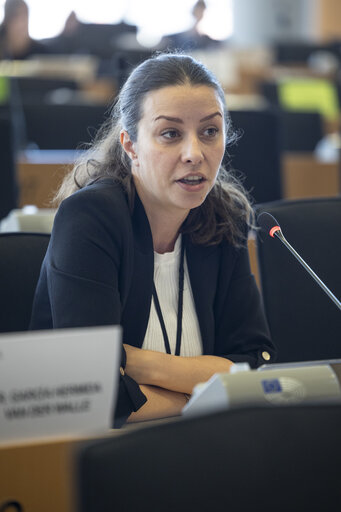 LIBE - Public hearing - Strengthening media freedom, freedom of expression and safety of journalists