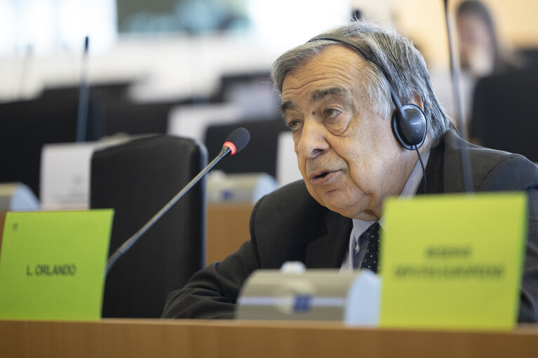LIBE - Public hearing - Strengthening media freedom, freedom of expression and safety of journalists