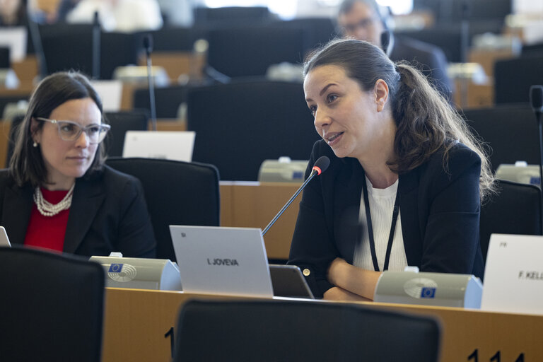 LIBE - Public hearing - Strengthening media freedom, freedom of expression and safety of journalists