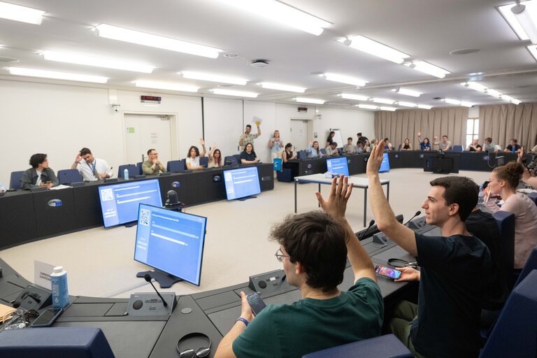 European Youth Event (EYE 2025) - Panels, interactive workshops and activities