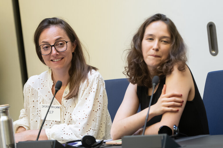 European Youth Event (EYE 2025) - Panels, interactive workshops and activities