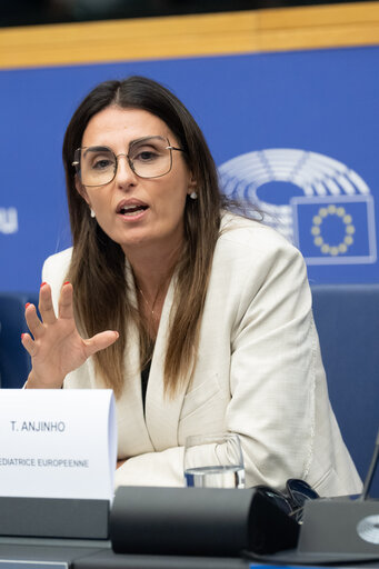 European Youth Event (EYE 2025) - Panels, interactive workshops and activities