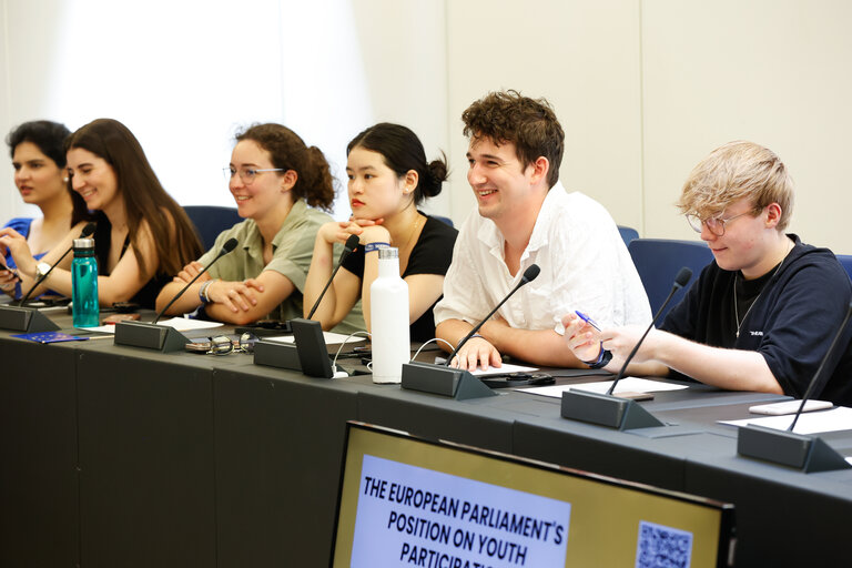 European Youth Event (EYE 2025) - Panels, interactive workshops and activities