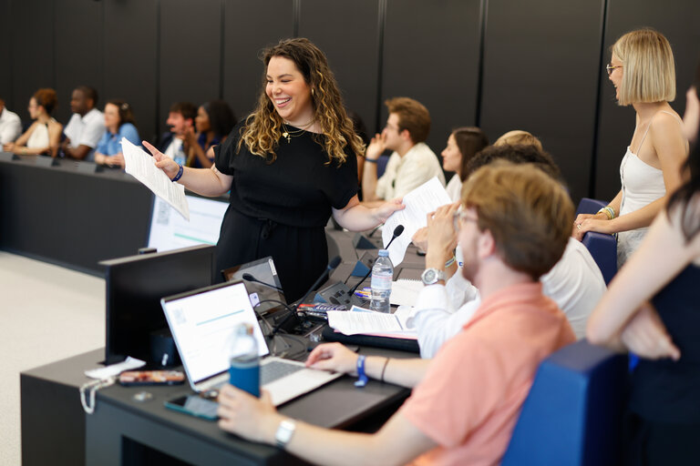 European Youth Event (EYE 2025) - Panels, interactive workshops and activities