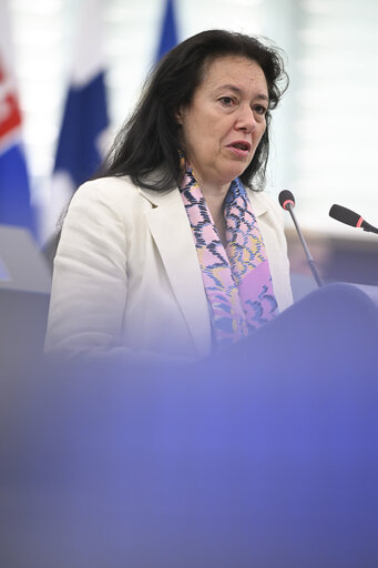 EP Plenary session - Combating the sexual abuse and sexual exploitation of children