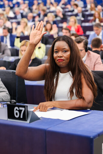 EP Plenary session - Voting session