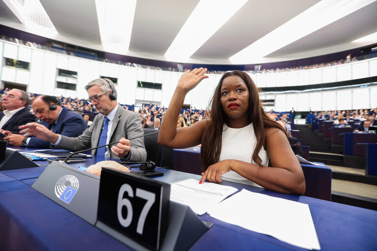 EP Plenary session - Voting session