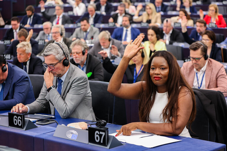 EP Plenary session - Voting session