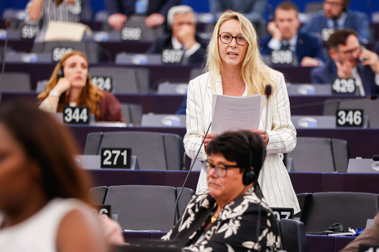 EP Plenary session - Voting session