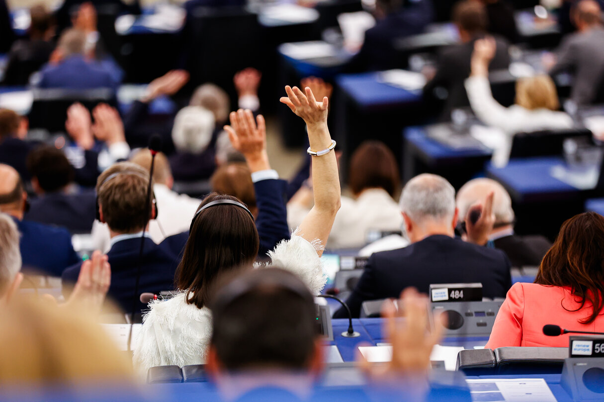 EP Plenary session - Voting session